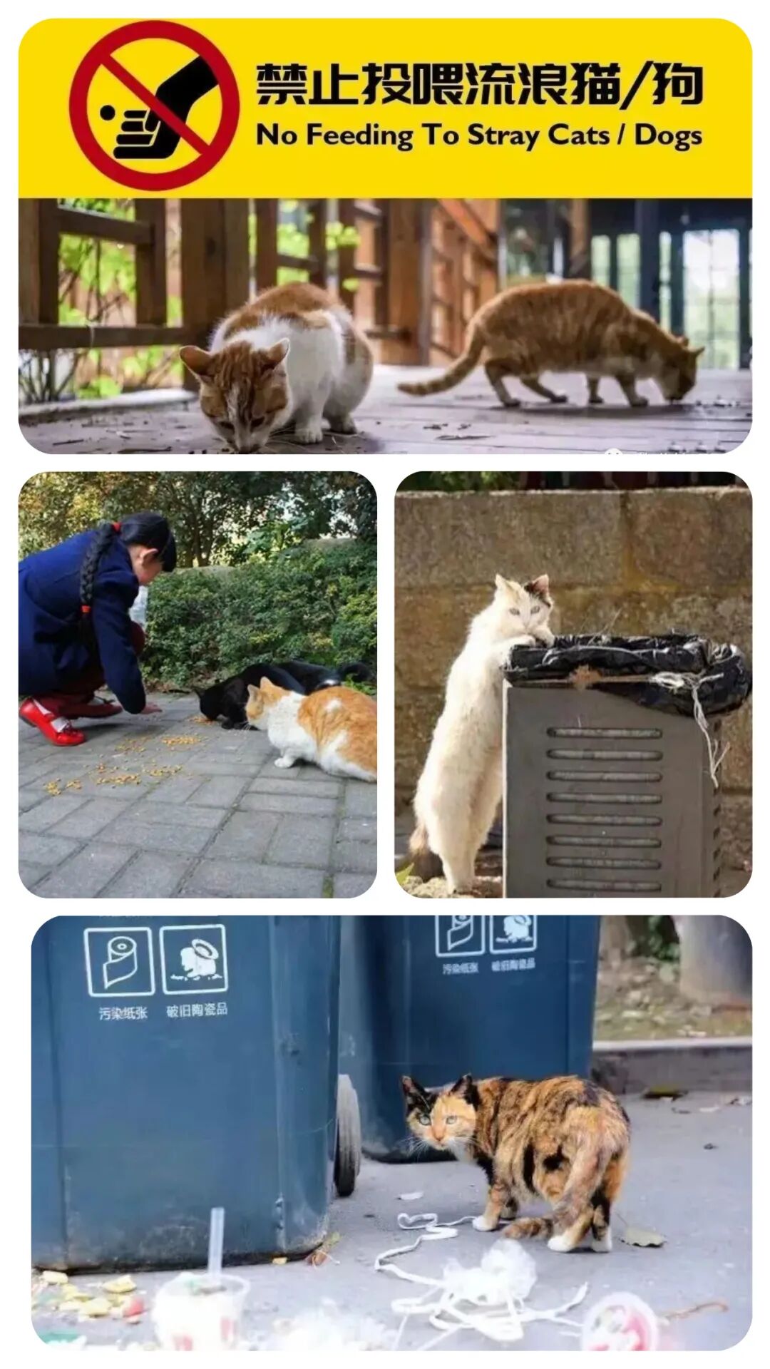 圖片關鍵詞 圖片