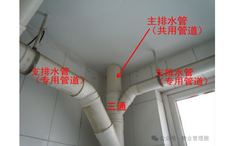 要是業主室內的下水管漏了水，該由誰管修呀？這有什么規定或者依據嗎？