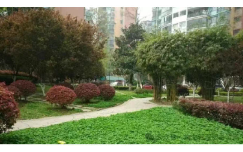 你交的物業(yè)費包含哪些服務？