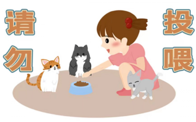 物業催費后業主無反應，物業該怎么辦？