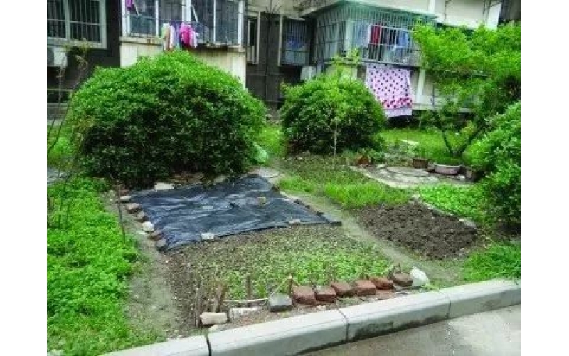 長期拖欠物業(yè)費(fèi)業(yè)主的訴求，物業(yè)該不該回應(yīng)？如何回應(yīng)？